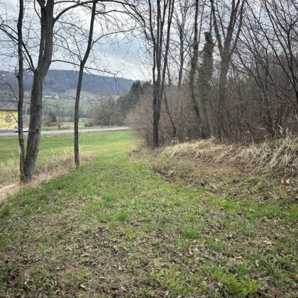 Große, sonnige landwirtschaftliche Fläche - Bild 3