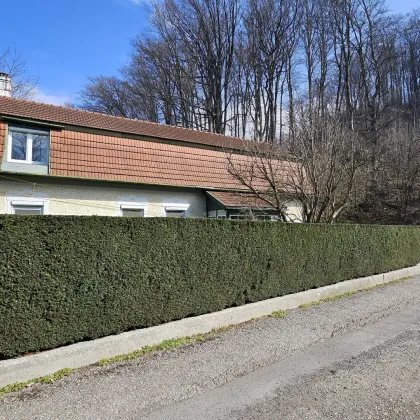 Erfüllen Sie sich Ihren Traum vom Eigenheim in Mauerbach - 150m² renovierungsbedürftiges Einfamilienhaus für nur 399.000,00 €! - Bild 3