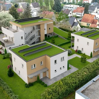 Ein cooles modernes Penthouse zum Träumen & Genießen - riesige Sonnenterrasse mit Blick ins Grüne - sehr gute Verkehrsanbindung - PREISREDUKTION von insgesamt 2,3 % beim Ankauf einer Wohnung! - Bild 3