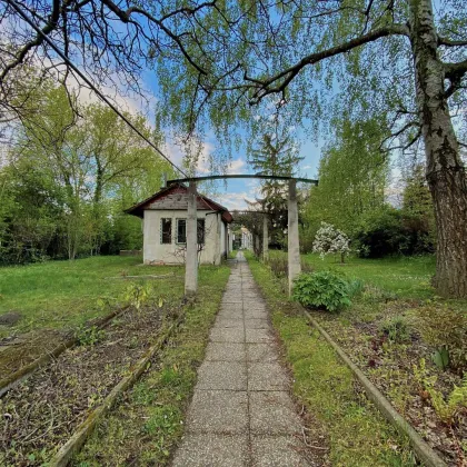 ca. 10 Autominuten von Wiener Stadtgrenze I Tolle Gelegenheit I Großzügiges Grundstück in grüner Ruhelage I - Bild 3