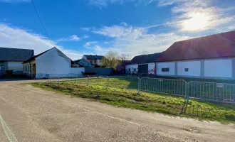 Baugrundstück mit alten Bauernhaus in idyllischer Ortsrandlage im Weinviertler Unterstinkenbrunn - Entwicklungspotential