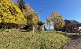 Kleinlandwirtschaft mit Panoramalage im Murtal