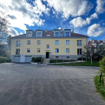 Erstbezug nach Renovierung! Ruhige 3-Zimmer-Wohnung beim Schlosspark Schönbrunn - Bild 3