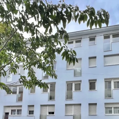 Moderne 44m² Wohnung mit Stellplatz, 2 Zimmer nahe Schmelz für 249.000 € - Bild 2