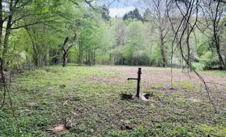 Schönes teilbares Baugrundstück im Grünen