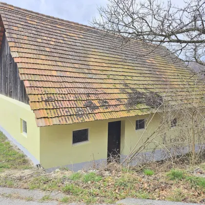 Nur 15 Minuten von Spielfeld entfernt auf slowenischer Seite - Idyllisches Wohnen mit ca. 5 ha Grund - Bild 3