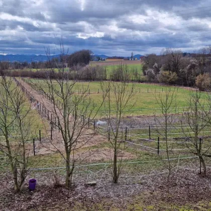 Pferdestall, Reitanlage  Wohnungen und Koppeln, sanierungsbedürftig 5,5 ha Gesamtfläche - Bild 3