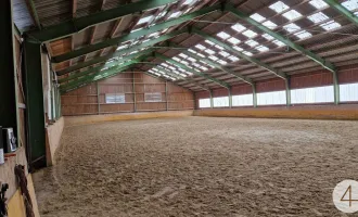 Pferdestall, Reitanlage inkl Wohnhaus und Koppeln, sanierungsbedürftig 5,5 ha Gesamtfläche