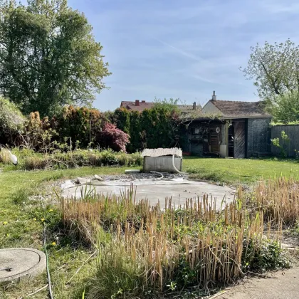 Lieblingsplatz - Haus in Katzelsdorf nahe dem Akademiepark mit ca. 174 m² Wohnfläche zu kaufen! - Bild 3