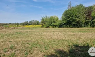 Bauträger- Doppelhaushälften und Wohnbau Nähe Wels