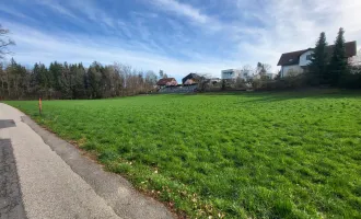 Zwei große Grundstücke in Laakirchen - Reintal zu verkaufen! KEIN BAUZWANG!