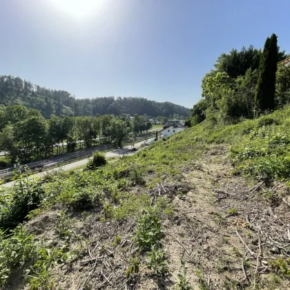 Großzügiges Grundstück in Sonnenlage unweit von Linz | Ideal für Bauträger und Projektentwickler - Bild 2