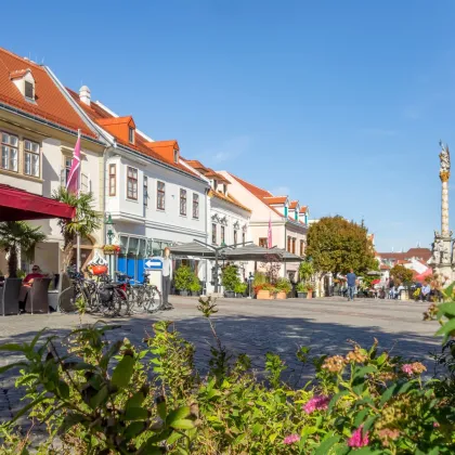 Willkommen in Eisenstadt: Hier beginnt Ihr neues Kapitel - Bild 3