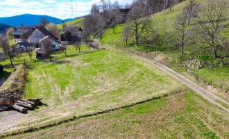 Idyllischer Baugrund | Grünlage | Ruhelage | Stadtnähe