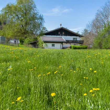 Idyllisches Anwesen: Offener Hof in malerischer Abgeschiedenheit mit landwirtschaftlichen Flächen zu kaufen - Bild 2