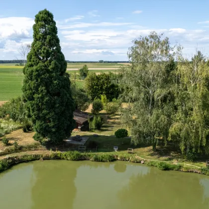 Paradies für Naturliebhaber - Grundstück mit 2 Teichen und Fischerhütte! - Bild 3