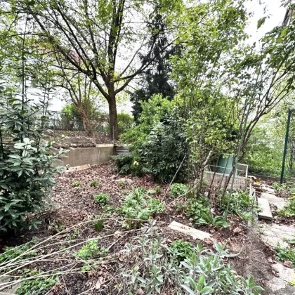 Großer Garten im idyllischen Innenhof mit 138 m² in Bestlage in der Steyrergasse - Bild 3