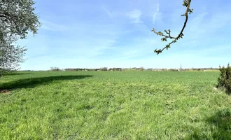 Leben am Land! Grundstück in Gunskirchen-Oberndorf