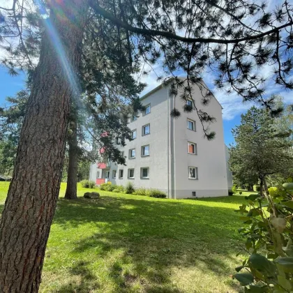 Sonnige 3 Raumwohnung in ruhiger Siedlungslage mit Balkon! - Bild 3