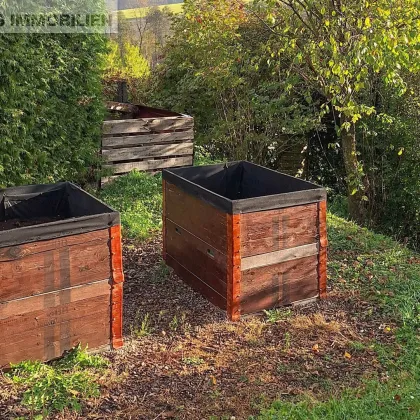 Naturnahes Paradies | Schrebergarten mit Gartenhütte - Bild 2