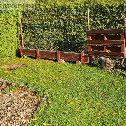 Naturnahes Paradies | Schrebergarten mit Gartenhütte - Bild 3