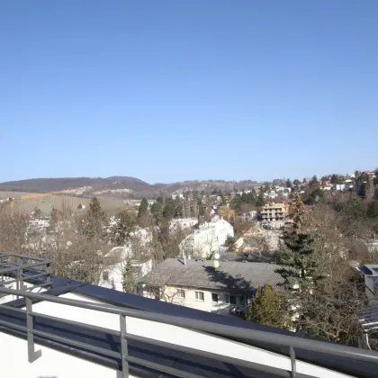 Großzügige Terrassenwohnung mit Grün- und Stadtblick in Neustift am Walde! - Bild 3