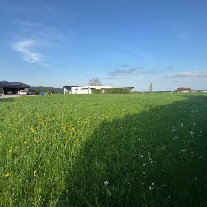 931 m2 Baugrund für Eigenheim mit Berg- und Fernblick | Pöndorf in Oberösterreich - Bild 3