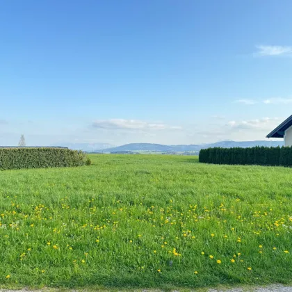 931 m2 Baugrund für Eigenheim mit Berg- und Fernblick | Pöndorf in Oberösterreich - Bild 2