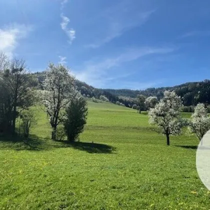 Bungalow in sonniger Lage - individuell planbar - Lehm für Ihre Wohngesundheit - Bild 2