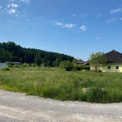 Baugrund für Eigenheim mit Grünblick | 720 m2 unverbaubar | in Seekirchen am Wallersee - Bild 2