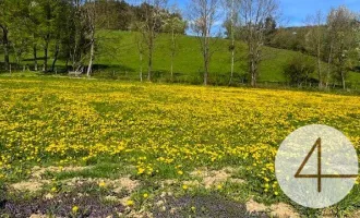 Apfelblüte im Mostviertel - Baugründe in wunderschöner, sonniger Lage!