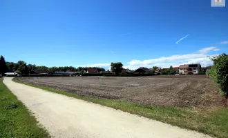 Noch zwei Parzellen nähe Stadtzentrum ab 634 m² bis 666 m² in Ebenthal - Rain