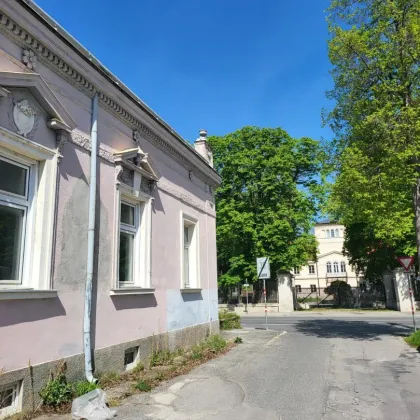 Leben beim Schloss Süßenbrunn inkl. Badeteich sowie Reitschule | Baubewilligtes Bauträgerprojekt - Bild 3