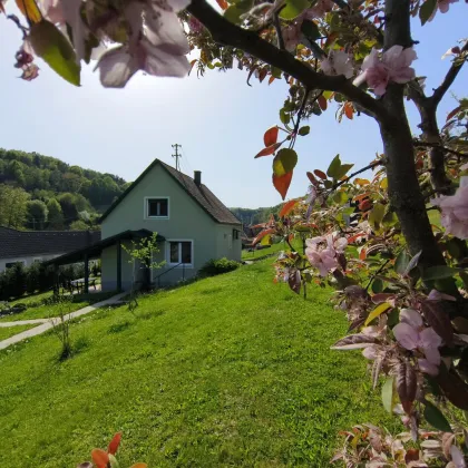 Gemütliches Einfamilienhaus in Minihof Liebau - Gepflegt und Sofort Bezugsbereit - provisionsfrei für die Käufer! - Bild 3