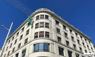 Moderne Erdgeschossfläche auf Mariahilfer Straße