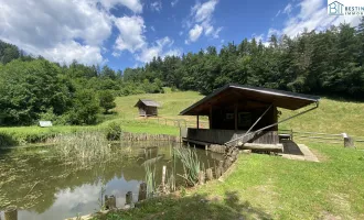 Grünes Paradies mit Teich in Stadtnähe