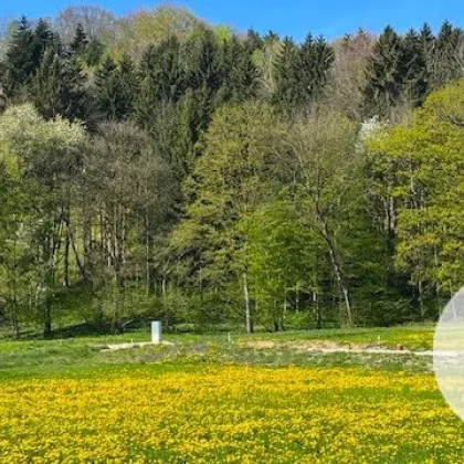 Bauträgerobjekt im Mostviertel - Baugründe in wunderschöner, sonniger Lage! - Bild 2