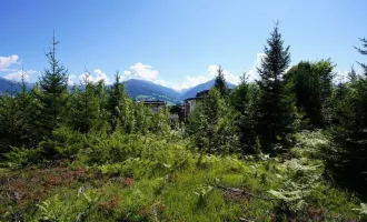 WALDRANDLAGE GNADENWALD - GRUNDSTÜCK FÜR DOPPELHAUS