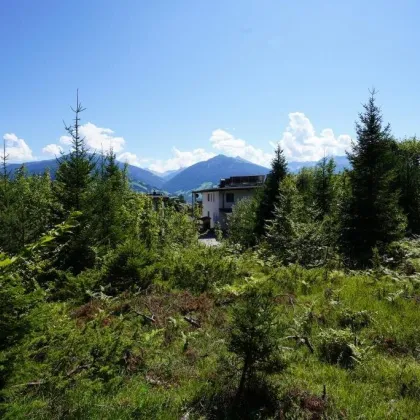 WALDRANDLAGE GNADENWALD - GRUNDSTÜCK FÜR DOPPELHAUS - Bild 2