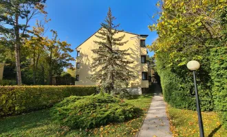 3 Zimmerwohnung mit Loggia und Grünblick nähe Rosarium Baden