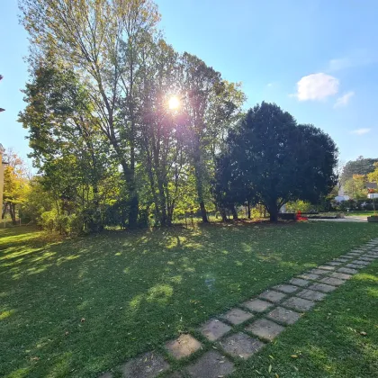 3 Zimmerwohnung mit Loggia und Grünblick nähe Rosarium Baden - Bild 2