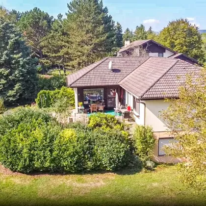 Traumhaftes großes Grundstück mit perfektem Weitblick in Siegenfeld - Bild 3