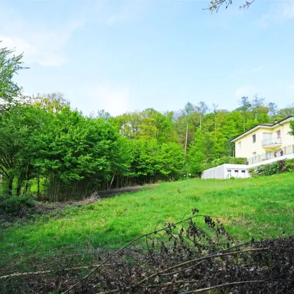 Zwei zentrumsnahe Baugrundstücke in ruhiger Waldrandlage - Bild 2