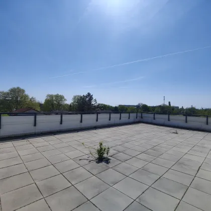 Penthouse mit Dachterrasse- Badeteich Hirschstetten- Erstbezug - Bild 2