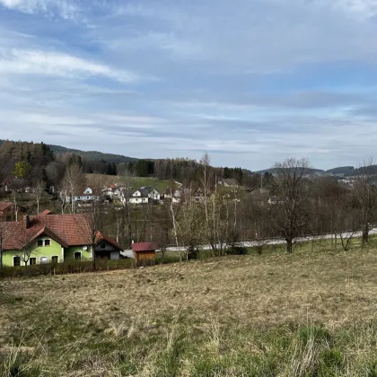 Haus+Grund: Hochwertiges Niedrigenergiehaus und schöner Baugrund in Bad Großpertholz - Bild 2