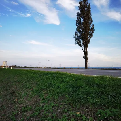 Betriebsbaugrund - Nahe Flughafen Wien - Bild 3