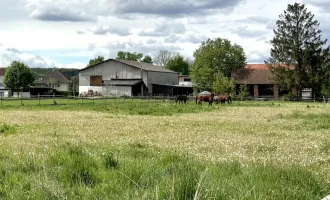 -- PFERDE UND MEHR --  !! MOSCHENDORF !! Wohnhaus mit ca. 490 m2 Nfl. in Ortsrandlage - arrondierter Eigengrund mit ca. 8.300 m2 !!