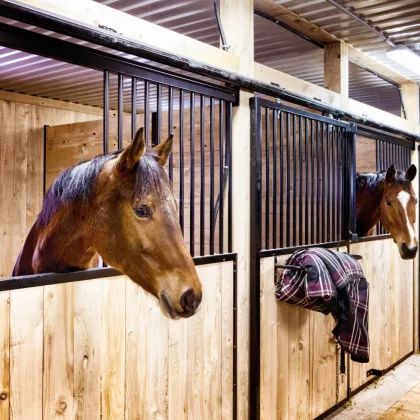 exklusives Bauernhaus mit Stallgebäude und 15 ha Grund - Bild 2