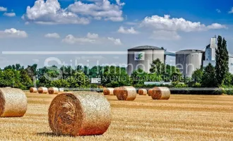 27.637m² Landwirtschaftliche Grundstück im Industriegebiet sowie Hofnungsland €29/m²