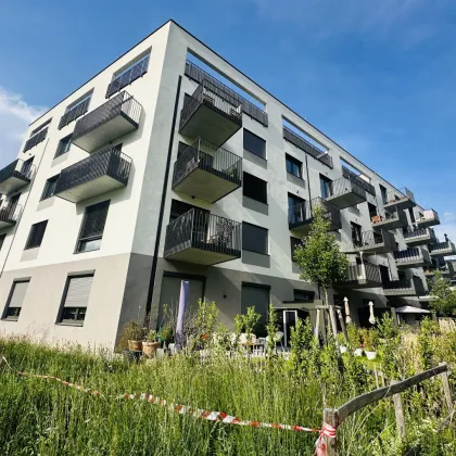 Tolle 2 Zimmerdachgeschosswohnung + Terrasse! Top Lage - sehr nahe dem Hauptbahnhof & Belvedere! Ubahn Nähe! - Bild 2